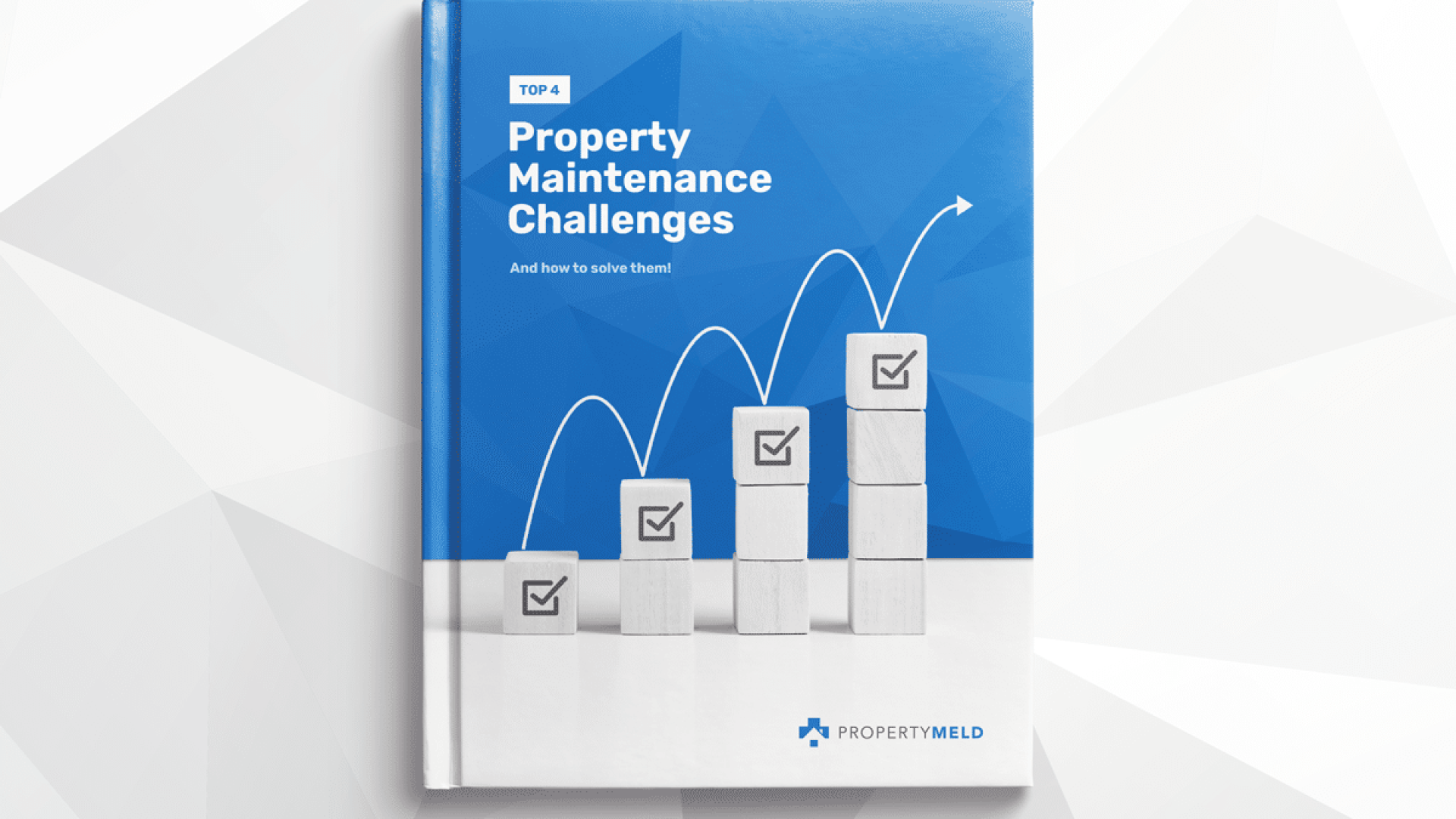 property maintenance challenges